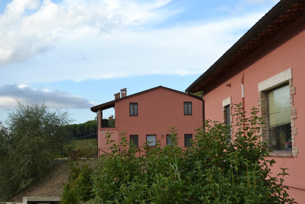 托迪 Agriturismo Il Merollo酒店 外观 照片