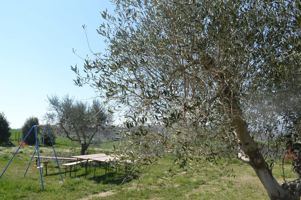 托迪 Agriturismo Il Merollo酒店 外观 照片