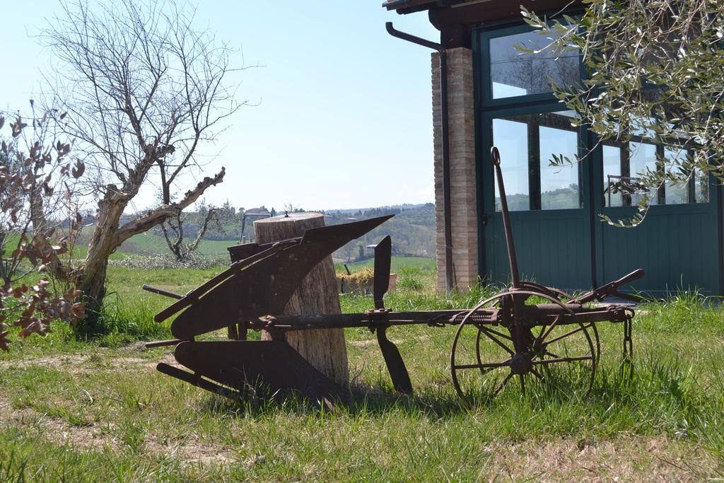 托迪 Agriturismo Il Merollo酒店 外观 照片
